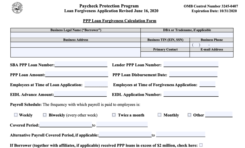 PPP Loan Forgiveness Application Header